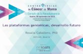 Las plataformas genómicas, desarrollo futuro · Rosalía Caballero, PhD GEICAM, Madrid. HER2+ 18% ER+ 67% TN 15% QUIMIOTERAPIA QUIMIOTERAPIA + TERAPIA ANTI-HER2 Clasificación clínica