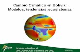 Cambio Climático en Bolivia: Modelos, tendencias, …ciat.cgiar.org/wp-content/uploads/2012/11/2010_12_21_c...(A) Observar cambio climático Tendencias artificiales Datos originales