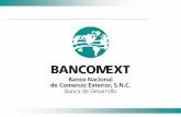 PROGRAMAS DE APOYO FINANCIERO AL COMERCIO EXTERIOR DE ... · El Banco Nacional de Comercio Exterior, S.N.C. (Bancomext) es una ... 9Fomentar el financiamiento al comercio exteriory