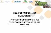 UNA EXPERIENCIA DE HONDURAS - OIT/Cinterfor · 2015-12-23 · Para Es una institución sin fines de lucro creada para impulsar el desarrollo de CADERH Honduras, con el propósito