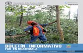 Boletín informativo FAO en Guatemala, Agosto 2015“Ya en 2015 me tocó hacer el último raleo en el que logré sacar 10,000 pies de madera. Ya vió, al final yo gané: incentivos