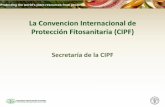 La Convencion Internacional de Protección Fitosanitaria (CIPF) · 2020-06-23 · Historia CIPF Original adoptada en 1951 Revisada en 1979 FAO responsable del reporte No funcionó