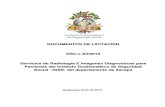DEPARTAMENTO DE SERVICIOS CONTRATADOS: Guatemala ... · 1.7. DEPARTAMENTO DE SERVICIOS CONTRATADOS Dependencia administrativa del Instituto Guatemalteco de Seguridad Social, encargada