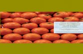 Nuevos parámetros del comercio internacional del tomate ......Jaime de Pablo Valenciano Valenzuela Miguel A. Giacinti Battistuzzi Nuevos parámetros del comercio internacional del