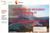 DIRECCIÓN DE INCENDIOS FORESTALES...Estructura de la normativa española sobre incendios forestales Ley del Sistema Nacional de Protección Civil LEY 17/2015 Norma Básica de Protección