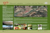 Itinerari saludable - L'entorn del riu Siurana...Itinerari saludable - L'entorn del riu Siurana El recorregut Distància 1,40 Km 25 minuts Fàcil Durada aproximada Grau de dificultat
