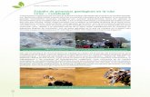 Boletín Informativo Kallpay FIA UCSS 12-13... · Boletín Informativo Kallpay FIA UCSS ... son eventos extraordinarios como por ejemplo el levantamiento de la Cordillera de los Andes,