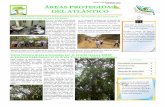 Boletín mensual del SIDAP, No 2 Septiembre 2010 ÁREAS ... · recursos financieros para las áreas protegidas En una primera convocatoria, liderado por The Nature Conser-vancy (TNC)