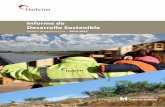 Informe de Desarrollo Sostenible - Holcim Argentina · Asuntos Corporativos, Desarrollo Sostenible y Medioambiente con la participación de las distintas gerencias de la empresa en