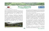 Programa de Apoyo al Desarrollo Sostenible de la Zona de Influenciabelgicacontigo.com/wp-content/uploads/2017/11/Boletin1.pdf · 2017-11-22 · Boletín Electrónico Nº 01-2007 t