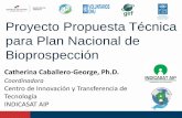 Proyecto Propuesta Técnica para Plan Nacional de ......proyecto, entre los cuales se encuentra Panam ... » de esta propuesta técnica: – plantear la creación de un Programa Nacional
