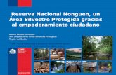 Reserva Nacional Nonguen, un Área Silvestre Protegida ...aumen.cl/blog2/wp-content/uploads/2017/09/00_-RN_Nonguen.pdfTaller “Red de actores para la protección del patrimonio natural