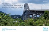 Puente de las Américas Ciudad de Panamá PERSPECTIVAS PARA …parlamericas.org/uploads/documents/Presentacion_UNEP_Leo... · 2020-07-13 · Puente de las Américas ... endeudamiento