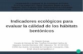 Indicadores ecológicos para evaluar la cálidad de …...2017/09/05  · Indicadores ecológicos para evaluar la cálidad de los hábitats bentónicos Caracterización y amenazas
