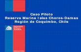 Caso Piloto Reserva Marina Islas Choros-Damas Región de ...cpps.dyndns.info/cpps-docs-web/planaccion/docs2014... · Actividad1.1 Verificador Actividad1.2 Verificador. Meta2 Actividad2.1