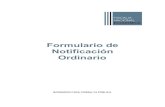 Formulario de Notificación Ordinario€¦ · 2 INTRODUCCIÓN I. EL FORMULARIO El presente formulario (el “Formulario”) singulariza la información que las entidades que proyectan