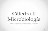 Cátedra II Microbiología · Cátedra II Microbiología Author: Luciana Created Date: 6/18/2018 8:25:33 AM ...