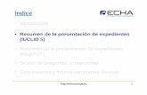 Resumen de la presentación de expedientes (IUCLID 5)echa.europa.eu/documents/10162/13566/overview_dossier_submissi… · 3 Resumen de la presentación de expedientes (IUCLID 5) Puntos