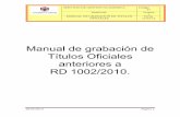 Manual de grabación de Títulos Oficiales anteriores a RD ......MANUAL DE GRABACION DE TIT Manual de grabación de Títulos Oficiales anteriores a RD 1002/2010. SERVICIO DE GESTION