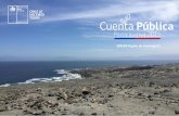 SEREMI Región de Antofagasta...de la flora costera del norte de Chile • Uno de los tres primeros planes de conservación de especies oficiales del Estado de Chile. • Primer plan