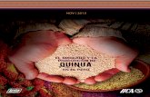 PRODUCCIÓN DE QUINUArepiica.iica.int/docs/b3857e/b3857e.pdf · variedades de quinua peruana entre blancas, rojas, negras, nativas y comerciales. En el cuarto capítulo se señala