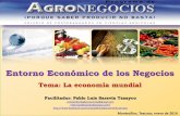 Entorno Económico de los Negocios · Programa de Maestría en Agronegocios Materia: Entorno Económico de los Negocios Montecillos, Texcoco; enero de 2014 Característica: Volatilidad