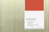 El Alcohol - Weeblyclasechefbris.weebly.com/uploads/8/8/0/7/88074360/el_alcohol.pdf · Una vez introducido el alcohol en boca, por poco que sea, comienza su ingestión por parte del