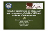 Héctor Daniel Inurreta Aguirre Lydie Dufour Christian ... · j.agrformet.2009.02.002 % Ong C, Wilson J (2014) Agroforestry Hydrological Impacts. Encycl Agric Food Syst 244–252.