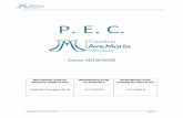 P. E. C.albolote.amgr.es/web/wp-content/uploads/2020/03/... · proyecto educativo página 1 p. e. c. curso 2019/2020 revisado por el equipo directivo aprobado por claustro aprobado
