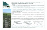Manglares de México: potencial de reducción de emisiones ... · INICIATIVA CORREDOR DE MANGLARES PÁGINA 3 Potencial REDD+ de los manglares del corredor Chiapas- Oaxaca Región