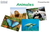 Presentación Animales - Gobierno de Canarias€¦ · Hay animales vertebrados y animales invertebrados. Los vertebrados tienen espina dorsal. Tienen esqueleto interno. Los invertebrados