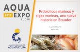 Probióticos marinos y algas marinas, una nueva historia en ...aquaexpoeloro.cna-ecuador.com/expositores/2017/... · Probióticos marinos y algas marinas, una nueva historia en Ecuador