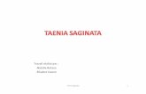 Travail réalisé par Natalia Botana Elisabet Casero insti/ense/doc/comenius/Tenia.pdf · Tenia Saginata 1. Tenia Saginata 2. Tenia Saginata 3. Tenia Saginata 4. Tenia Saginata 5.