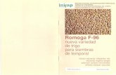 Romoga F-96 - Trigo en Mexico · Maxico, DE P-V/1988 Guanajuato, A P·V/1996 Michoacan, Jalisco,AguascalientesZacatecas y ... importantes fuertemente influenciadas por el ambiente.