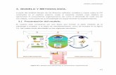 INTRODUCCIÓN - Universidad de Sonoratesis.uson.mx/digital/tesis/docs/22514/Capitulo3.pdf · Este tipo de muestreo comprende los procedimientos simple o al azar, estratificado, sistemático
