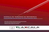 Modelo de terminos de referencia - Tlaxcalaevaluacion.tlaxcala.gob.mx/images/stories/documentos/evalua/mtdr/… · MODELO DE TERMINOS DE REFERENCIA ... II. ALCANCES Una evaluación