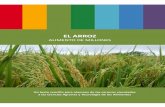 1 tapa febrero - UNICEN · Origen y distribución del cultivo de arroz como alimento Fuente: Acevedo et al., 2006. COMERCIALIZACIÓN Más del 90 % del arroz del mundo se produce en