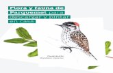 Flora y fauna de Parquemet para descargar y pintar en casa · 2020-03-18 · Flora y fauna de Parquemet para descargar y pintar en casa Carpinterito Dryobates lignarius