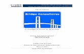 Estudis d'Economia i Empresa Grau en Administració i Direcció d …blogs1.uoc.es/expotfg/files/2016/07/Bridge-Consultores.pdf · El modelo de negocio (en adelante MdN) de BRIDGE