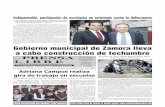 Gobierno municipal de Zamora lleva a cabo construcción de ...prensalibremexicana.com/wp/wp-content/uploads/2019/09/Grito-de-… · llamado a las y los presidentes municipales para