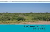 Reforestación en Salta - Argentina Ambientalargentinambiental.com/wp-content/uploads/pdf/AA75... · reforestación. Tal y como la jueza civil de Tartagal, Claudia Yance, lo había