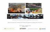Sistema Nacional de Gestión del Riesgo de Desastres Plan ... · Gestión del Riesgo de Desastres – UNGRD en el marco de la sesión del Comité Nacional de Manejo de Desastres realizado