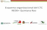 Esquema organizacional del CTC REDD+ Quintana Roo€¦ · Avances del CTC REDD+ Quintana Roo 6to CTC: 25 de Marzo del 2013 - Bacalar. taller con el GT REDD+ de Q. Roo para analizar