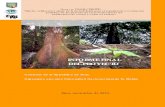 INFORME FINAL DEL PROYECTO-UNALM-CITES-ITTO-30nov2010 Report... · 2013-07-29 · dos especies forestales, cómo funcionan sus ecosistemas, dónde se desarrollan y cómo responden