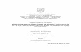 Evaluación Técnica de los Planes de Secuencia Cosntructiva ...biblioteca2.ucab.edu.ve/anexos/biblioteca/marc/texto/AAR8313.pdf · direcciÓn general de los estudios de postgrado