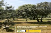 XI ESTUDIO DE INVERSIÓN Y EMPLEO EN EL SECTOR FORESTAL … · 2020-01-23 · Resumen de los resultados del XI Estudio de Inversión y Empleo en el Sector Forestal ... sector de actividades