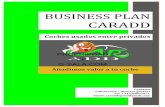 Business Plan caradd - Consultor de Empresas Nº1, Desarrollo ...€¦ · 7.2. Identificación de la competencia 7.3. Identificación de los clientes (Target). 8. Plan Marketing y