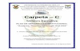 Carpeta C - CPP-UAScpp.uas.edu.mx/archivos/1567487751.pdf · Carpeta – C Síntesis Ejecutiva PLAN DE DESARROLLO INSTITUCIONAL “Academia, Ciencia y Tecnología 2019-2022” 2.-