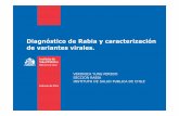 Diagnóstico de Rabia y caracterización de variantes virales. · 2013-09-11 · Rabia en Chile 1950 1960 Rabia urbana Endémica Instauración de un programa de control y prevención