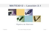 Unidad 2 – Lección 2myfaculty.metro.inter.edu/jahumada/mate3012/Lecci...Actividades 2.1 • Texto: Capítulo 8 - Sección 8.1 y Matrices y 8.2 – Multiplicación de Matrices. •
